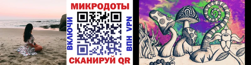 Купить где  Бирск  Галлюциногенные грибы GOLDEN TEACHER 